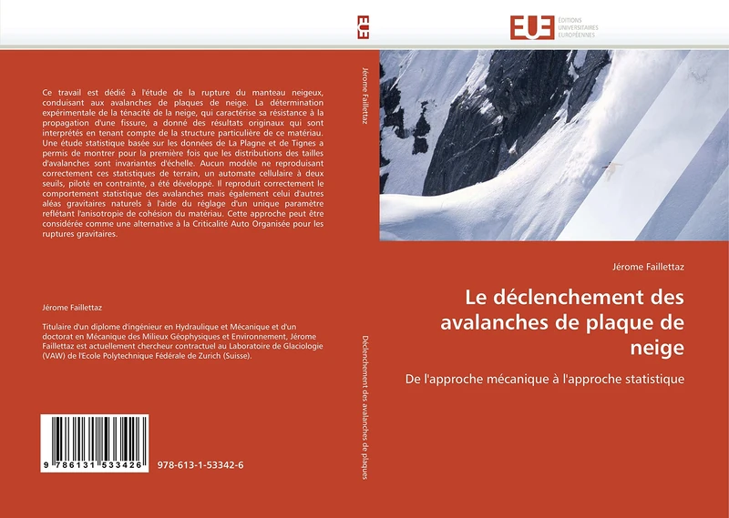 Le déclenchement des avalanches de plaque de neige: De l'approche mécanique à l'approche statistique (Omn.Univ.Europ.)