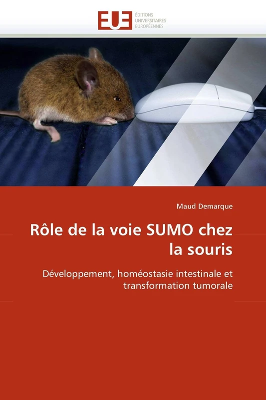 Rôle de la voie SUMO chez la souris: Développement, homéostasie intestinale et transformation tumorale (Omn.Univ.Europ.) - Image 1