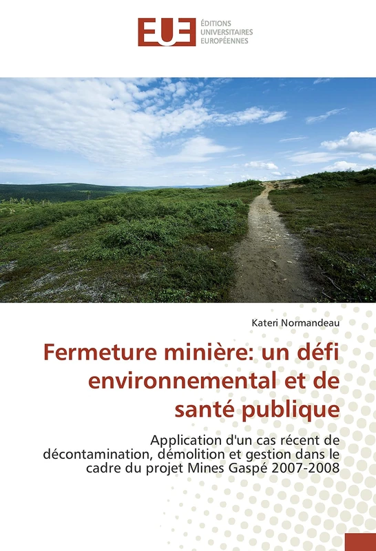 Fermeture minière: un défi environnemental et de santé publique: Application d'un cas récent de décontamination, démolition et gestion dans le cadre du projet Mines Gaspé 2007-2008 - Image 1