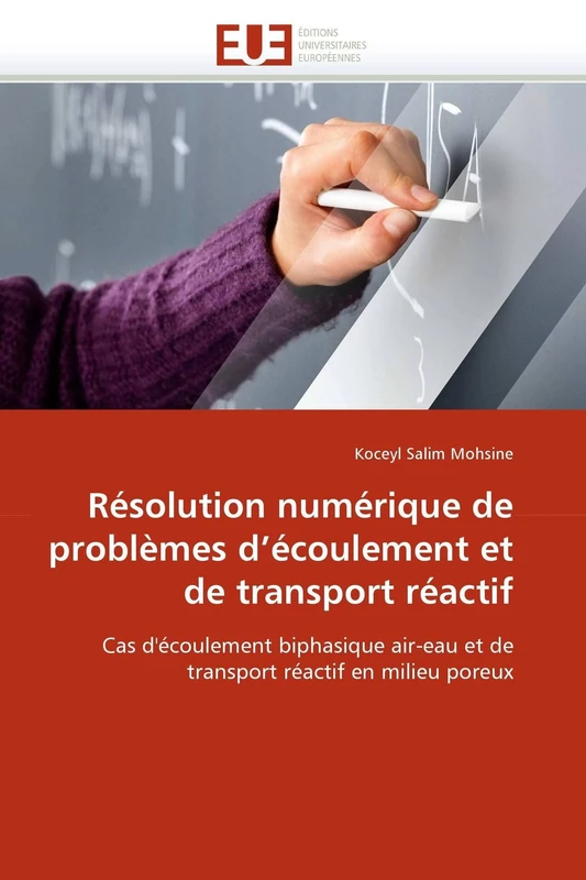 Résolution numérique de problèmes d'écoulement et de transport réactif: Cas d'écoulement biphasique air-eau et de transport réactif en milieu poreux (Omn.Univ.Europ.)