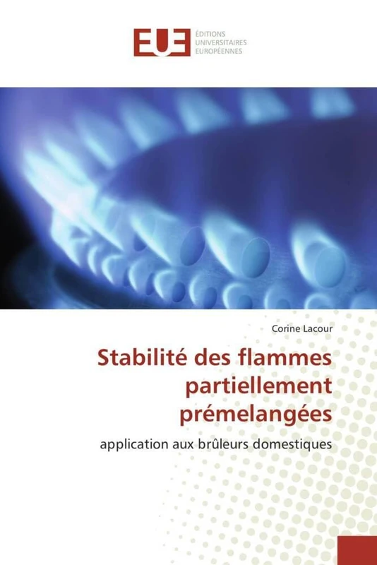 Stabilité des flammes partiellement prémelangées: application aux brûleurs domestiques (Omn.Univ.Europ.)