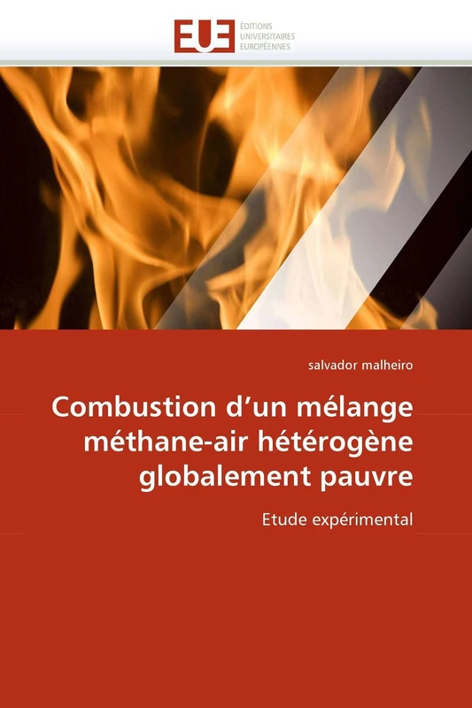Combustion d'un mélange méthane-air hétérogène globalement pauvre: Etude expérimental (Omn.Univ.Europ.)