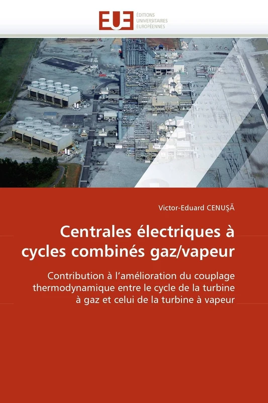 Centrales électriques à cycles combinés gaz/vapeur: Contribution à l'amélioration du couplage thermodynamique entre le cycle de la turbine à gaz et celui de la turbine à vapeur (Omn.Univ.Europ.)