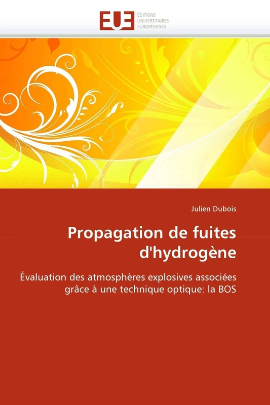 Propagation de fuites d'hydrogène: Évaluation des atmosphères explosives associées grâce à une technique optique: la BOS (Omn.Univ.Europ.) - Image 1