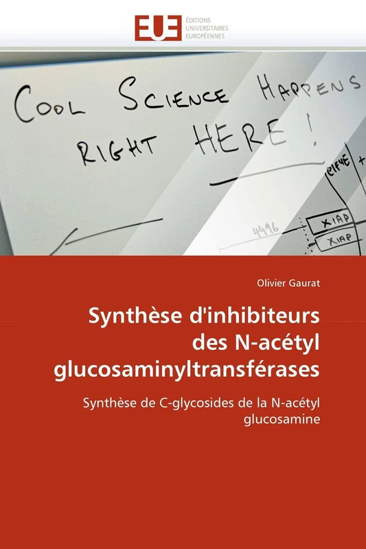 Synthèse d'inhibiteurs des N-acétyl glucosaminyltransférases: Synthèse de C-glycosides de la N-acétyl glucosamine (Omn.Univ.Europ.)