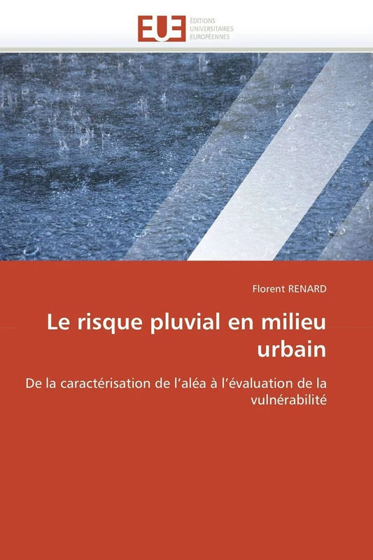 Le risque pluvial en milieu urbain: De la caractérisation de l'aléa à l'évaluation de la vulnérabilité (Omn.Univ.Europ.)