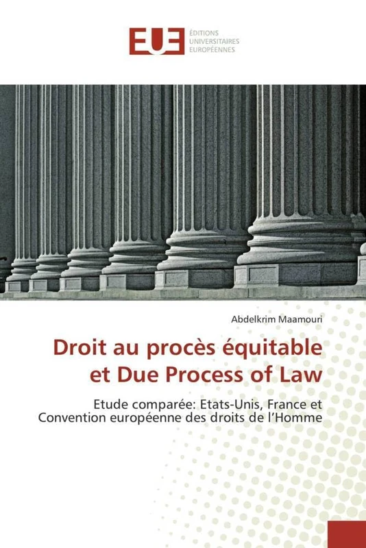 Droit au procès équitable et Due Process of Law: Etude comparée: Etats-Unis, France et Convention européenne des droits de l'Homme (Omn.Univ.Europ.)