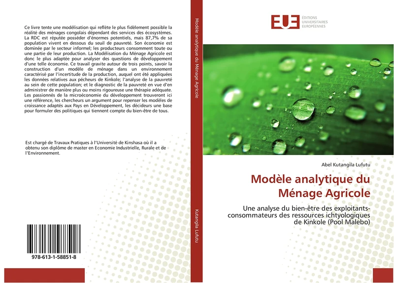Modèle analytique du Ménage Agricole: Une analyse du bien-être des exploitants-consommateurs des ressources ichtyologiques de Kinkole (Pool Malebo) (Omn.Univ.Europ.)
