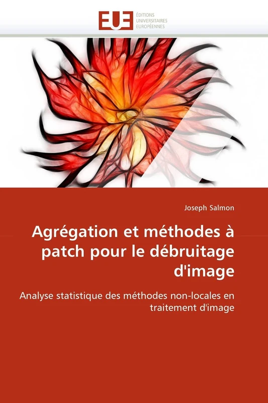 Agrégation et méthodes à patch pour le débruitage d'image: Analyse statistique des méthodes non-locales en traitement d'image (Omn.Univ.Europ.)