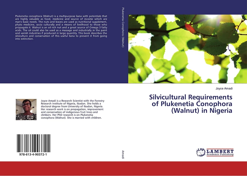 Silvicultural Requirements of Plukenetia Conophora (Walnut) in Nigeria - Image 1