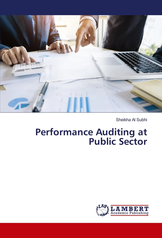 Performance Auditing at Public Sector