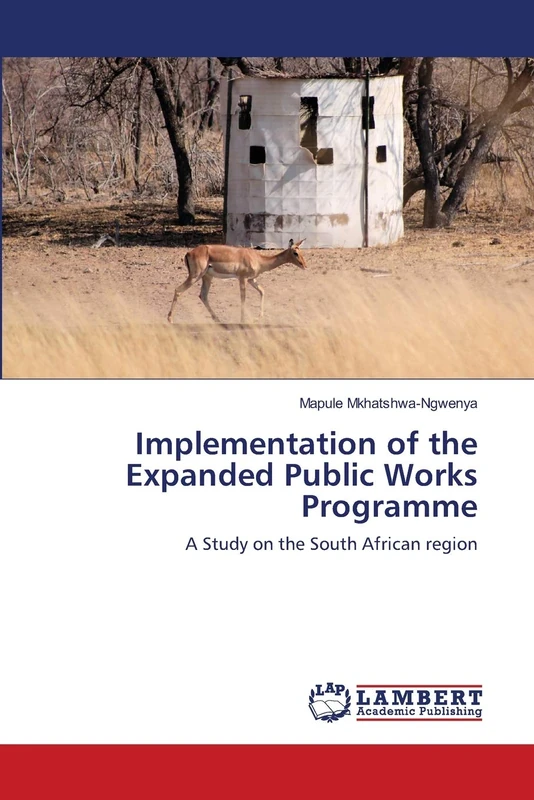 Implementation of the Expanded Public Works Programme: A Study on the South African region