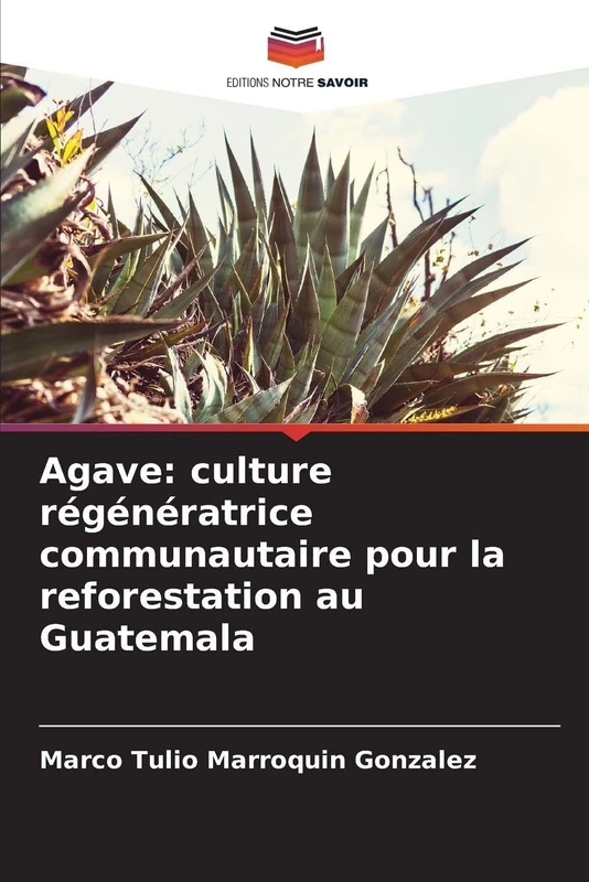 Agave: culture régénératrice communautaire pour la reforestation au Guatemala