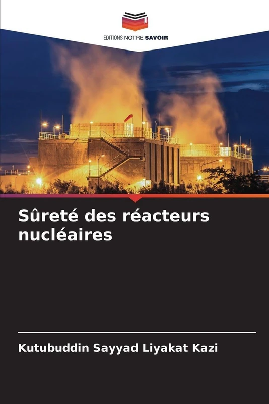 Sûreté des réacteurs nucléaires