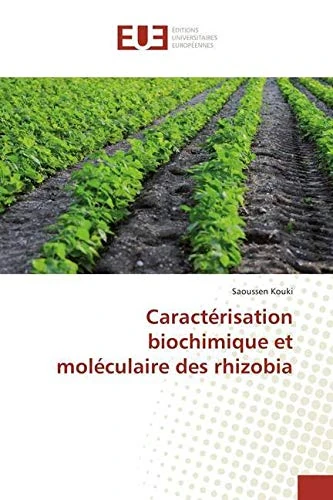 Caractérisation biochimique et moléculaire des rhizobia