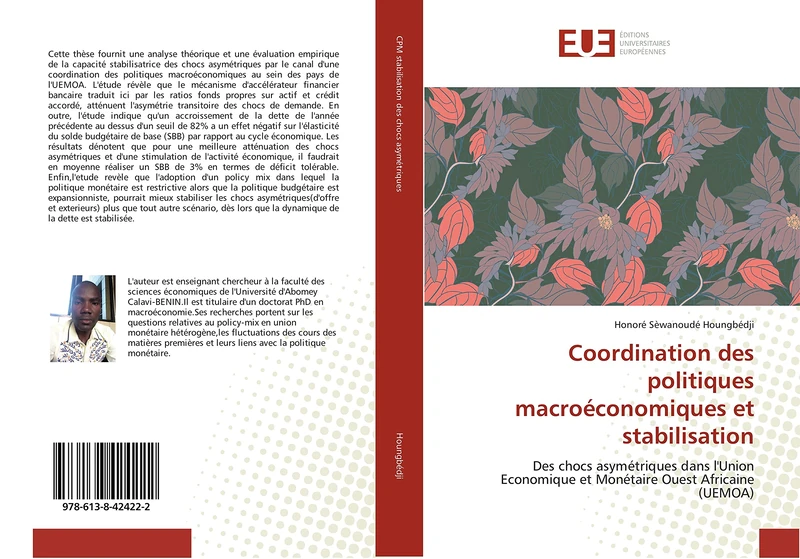 Coordination des politiques macroéconomiques et stabilisation: Des chocs asymétriques dans l'Union Economique et Monétaire Ouest Africaine (UEMOA)