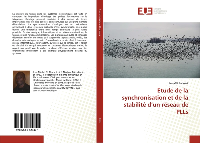 Etude de la synchronisation et de la stabilité d’un réseau de PLLs - Image 1