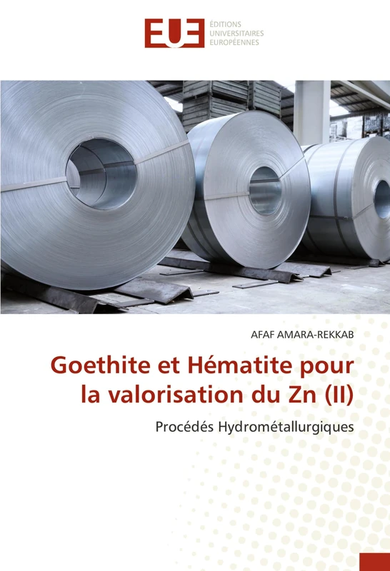 Goethite et Hématite pour la valorisation du Zn (II): Procédés Hydrométallurgiques
