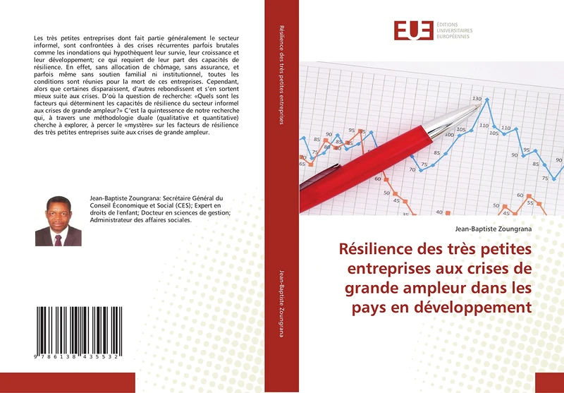 Résilience des très petites entreprises aux crises de grande ampleur dans les pays en développement