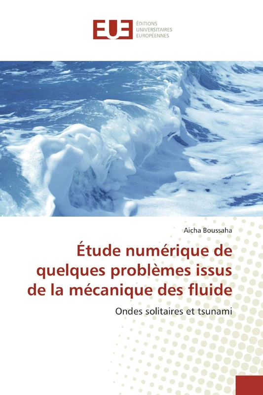 Étude numérique de quelques problèmes issus de la mécanique des fluide: Ondes solitaires et tsunami