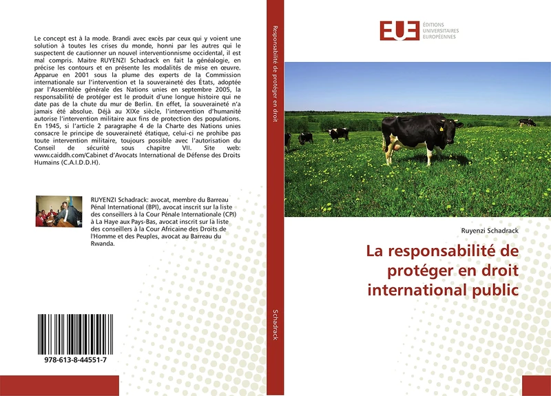 La responsabilité de protéger en droit international public