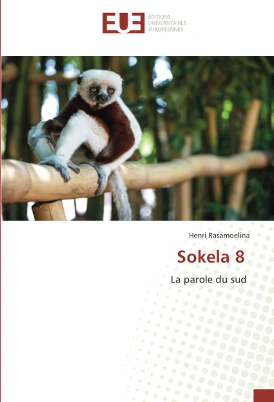 Sokela 8: La parole du sud