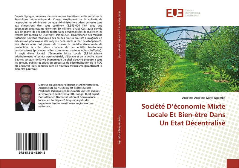 Société D’économie Mixte Locale Et Bien-être Dans Un Etat Décentralisé