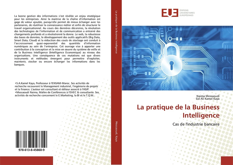 La pratique de la Business Intelligence: Cas de l'industrie bancaire