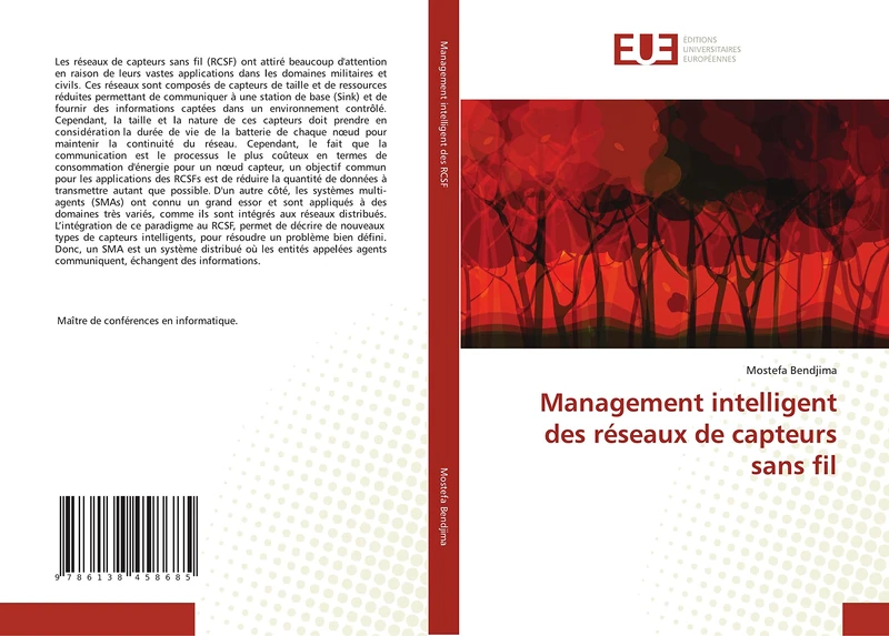 Management intelligent des réseaux de capteurs sans fil