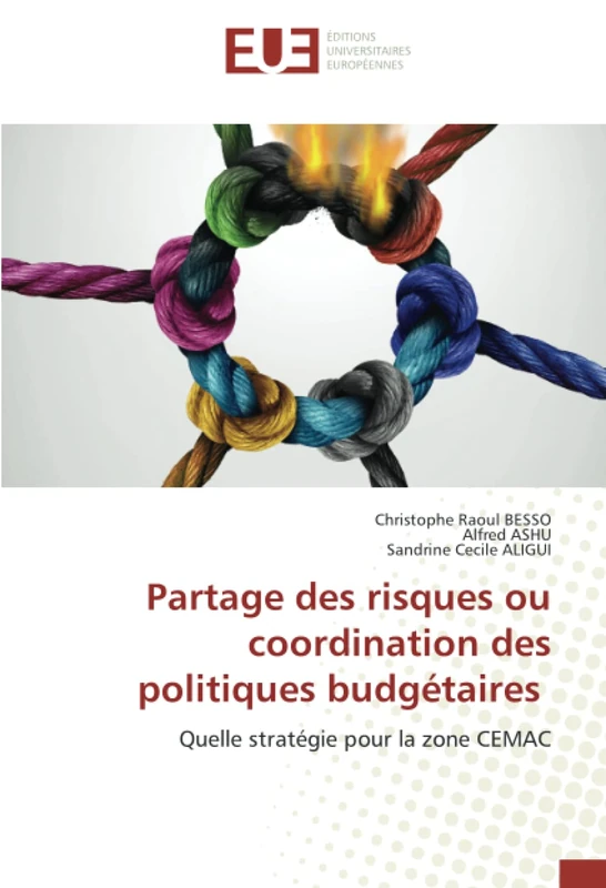 Partage des risques ou coordination des politiques budgétaires: Quelle stratégie pour la zone CEMAC