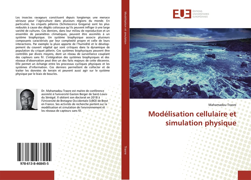 Modélisation cellulaire et simulation physique - Image 1