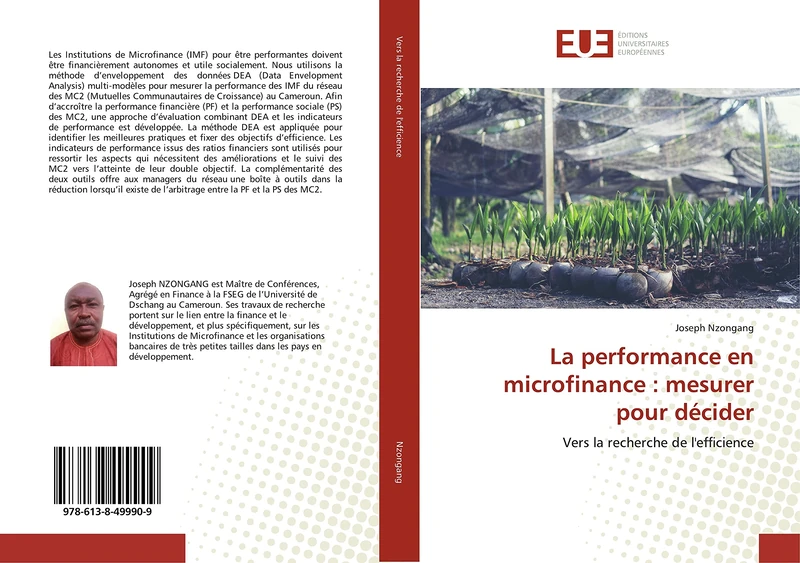 La performance en microfinance : mesurer pour décider: Vers la recherche de l'efficience
