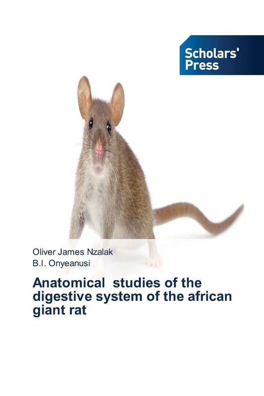 Anatomical studies of the digestive system of the african giant rat - Image 1