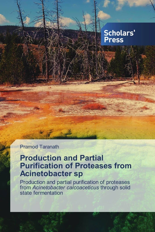 Production and Partial Purification of Proteases from Acinetobacter sp: Production and partial purification of proteases from Acinetobacter calcoaceticus through solid state fermentation - Image 1
