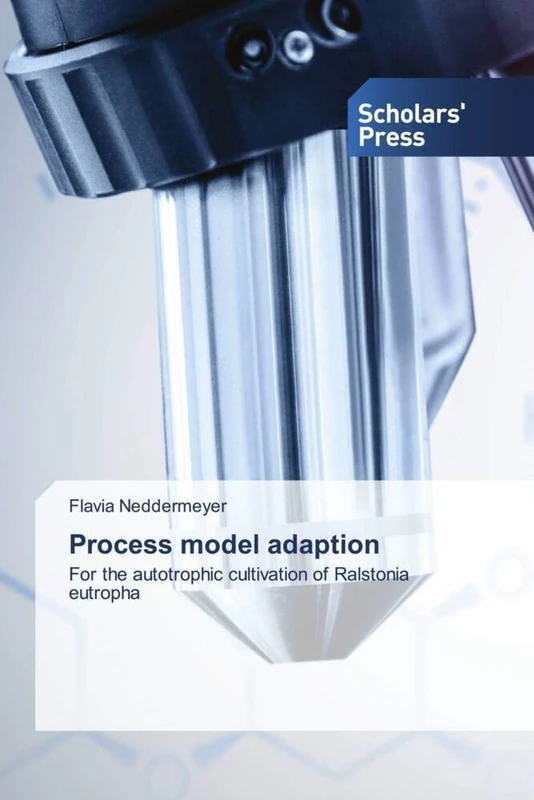 Process model adaption: For the autotrophic cultivation of Ralstonia eutropha - Image 1