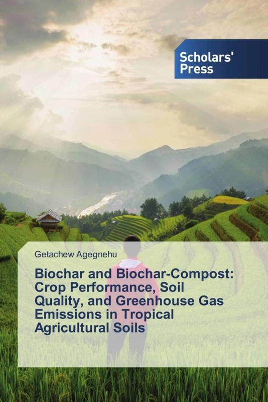 Biochar and Biochar-Compost: Crop Performance, Soil Quality, and Greenhouse Gas Emissions in Tropical Agricultural Soils