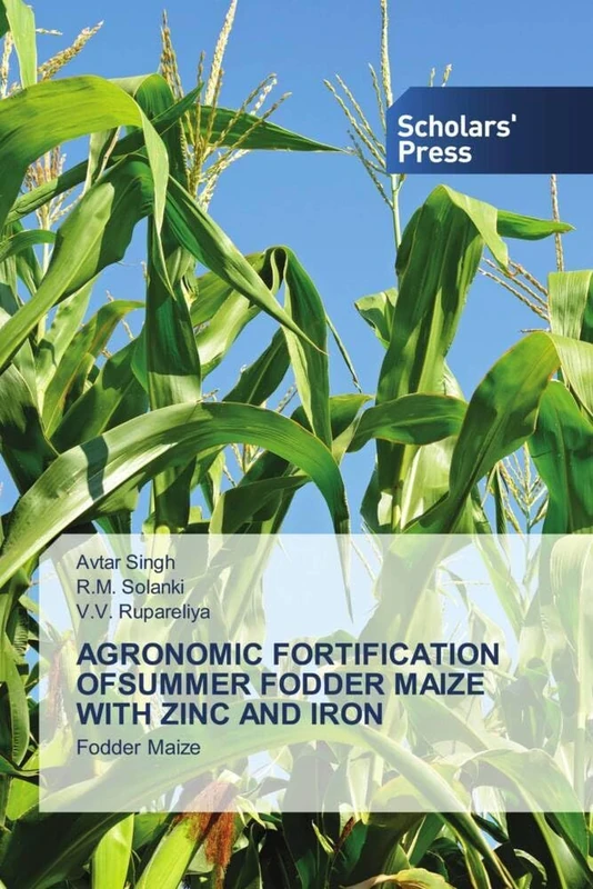 AGRONOMIC FORTIFICATION OFSUMMER FODDER MAIZE WITH ZINC AND IRON: Fodder Maize - Image 1