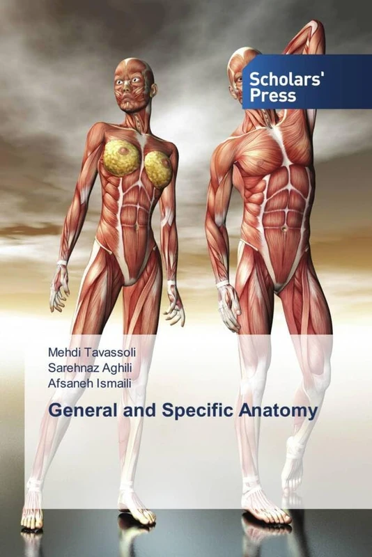 General and Specific Anatomy - Image 1