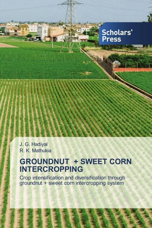 GROUNDNUT + SWEET CORN INTERCROPPING: Crop intensification and diversification through groundnut + sweet corn intercropping system
