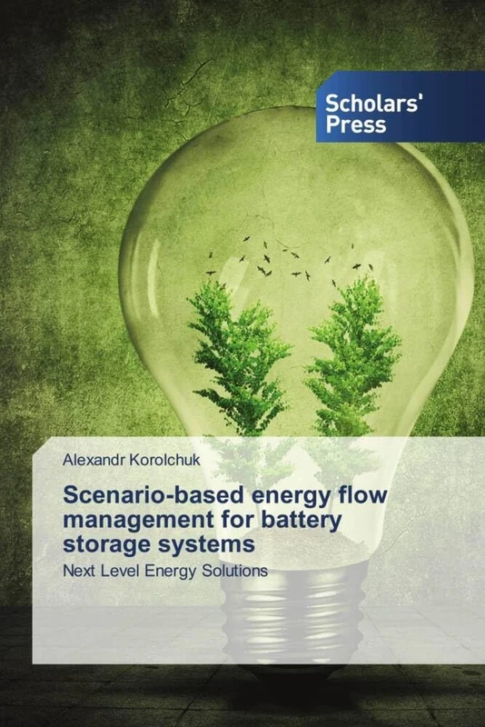Scenario-based energy flow management for battery storage systems: Next Level Energy Solutions