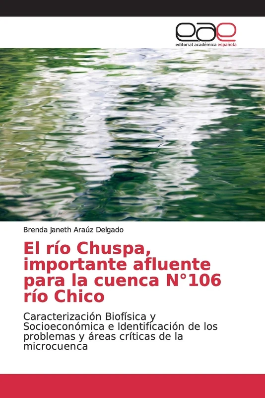 El río Chuspa, importante afluente para la cuenca N°106 río Chico: Caracterización Biofísica y Socioeconómica e Identificación de los problemas y áreas críticas de la microcuenca - Image 1