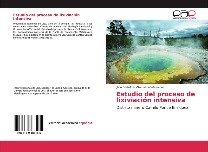 Estudio del proceso de lixiviación intensiva: Distrito minero Camilo Ponce Enríquez - Image 1