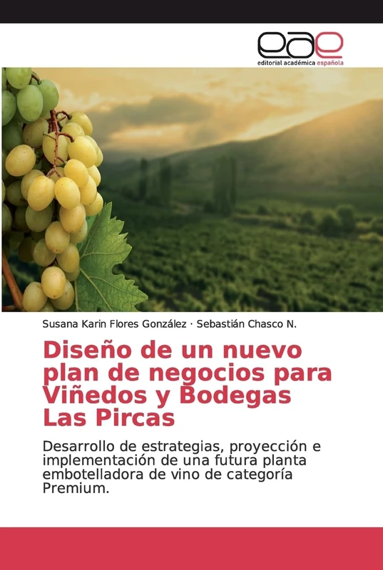 Diseño de un nuevo plan de negocios para Viñedos y Bodegas Las Pircas: Desarrollo de estrategias, proyección e implementación de una futura planta embotelladora de vino de categoría Premium. - Image 1