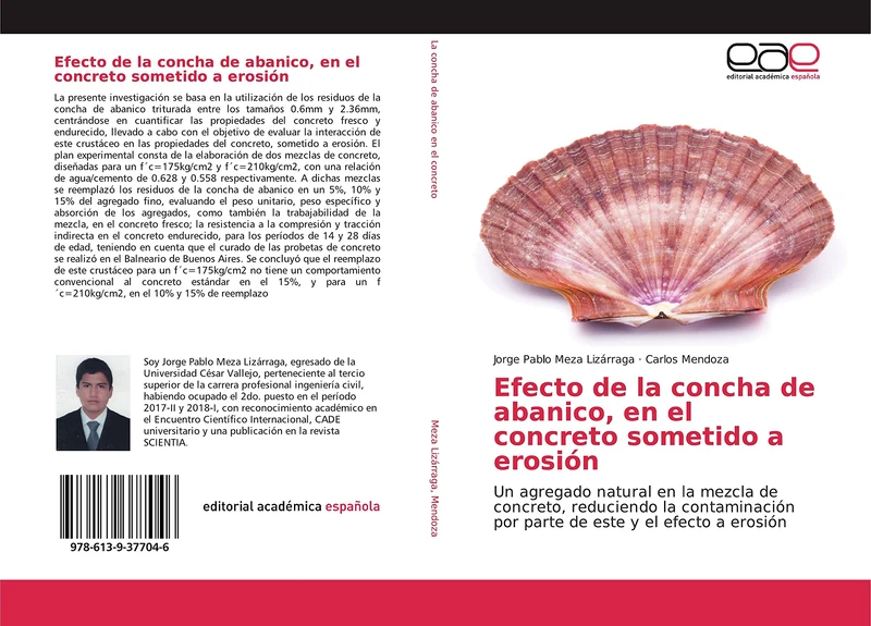 Efecto de la concha de abanico, en el concreto sometido a erosión: Un agregado natural en la mezcla de concreto, reduciendo la contaminación por parte de este y el efecto a erosión - Image 1
