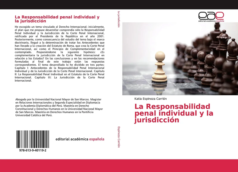 La Responsabilidad penal individual y la jurisdicción