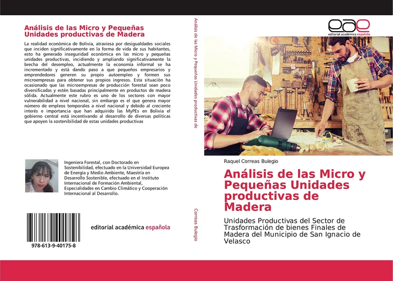 Análisis de las Micro y Pequeñas Unidades productivas de Madera: Unidades Productivas del Sector de Trasformación de bienes Finales de Madera del Municipio de San Ignacio de Velasco - Image 1