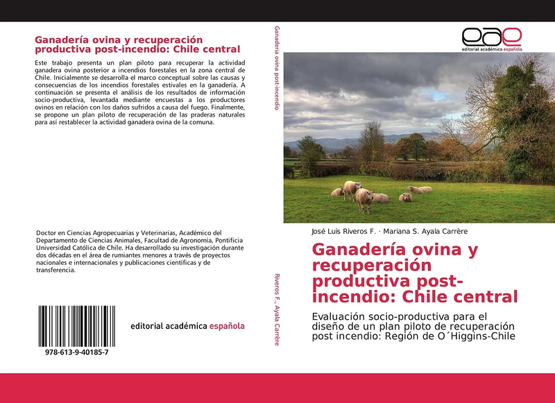 Ganadería ovina y recuperación productiva post-incendio: Chile central: Evaluación socio-productiva para el diseño de un plan piloto de recuperación post incendio: Región de O´Higgins-Chile - Image 1