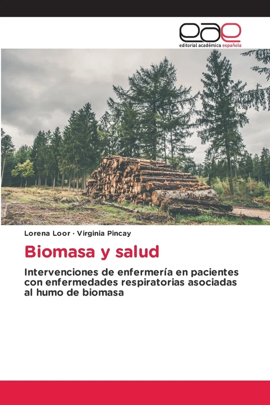 Biomasa y salud: Intervenciones de enfermería en pacientes con enfermedades respiratorias asociadas al humo de biomasa - Image 1