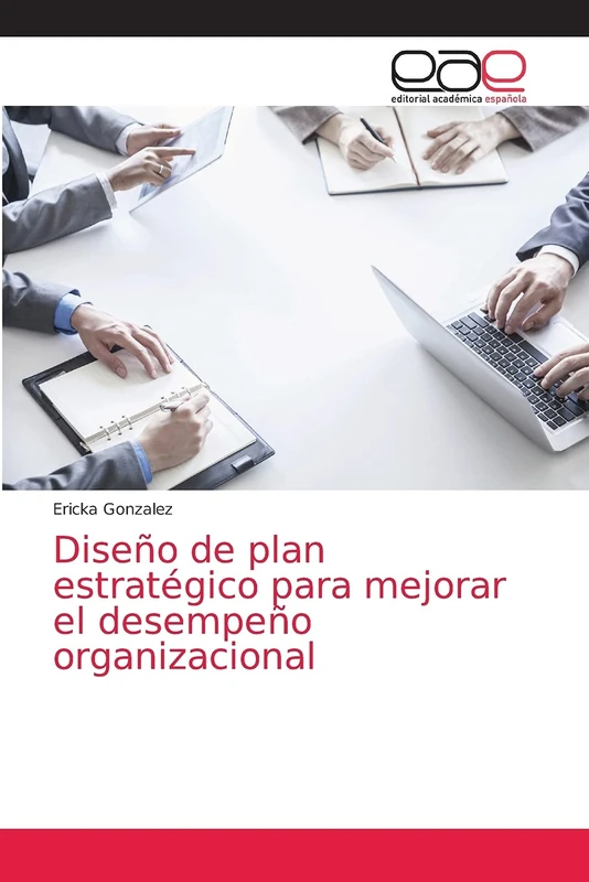 Diseño de plan estratégico para mejorar el desempeño organizacional - Image 1