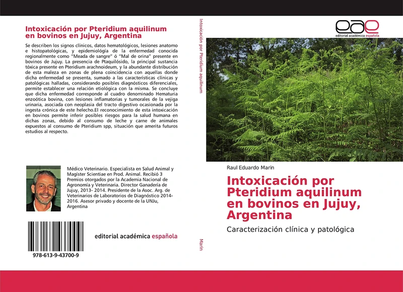 Intoxicación por Pteridium aquilinum en bovinos en Jujuy, Argentina: Caracterización clínica y patológica - Image 1